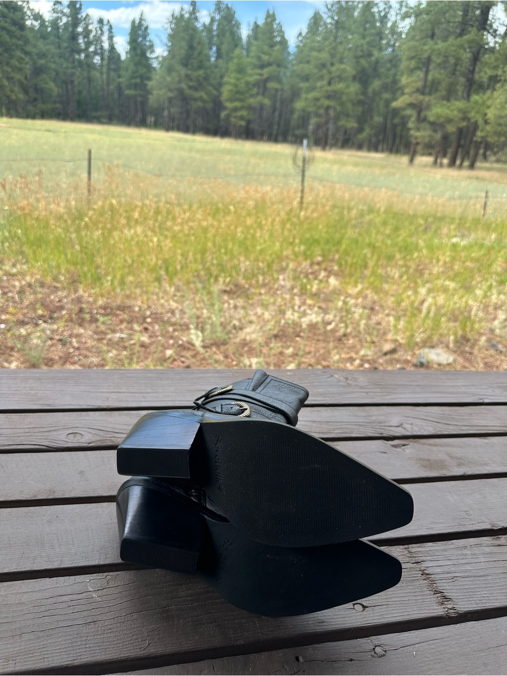 Seychelles Speak Up Black Leather Buckled Boots New! - Picture 13 of 13